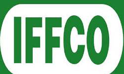 Our Featured Clients